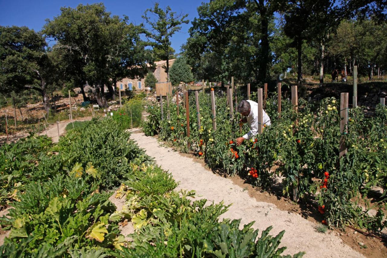 Bellone En Provence Panzió Brue-Auriac Kültér fotó